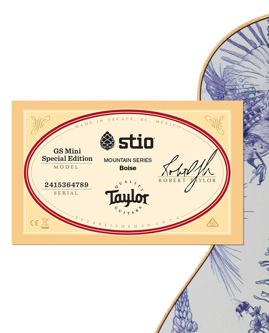 Stio x Taylor Mtn Series Boise - Image 6
