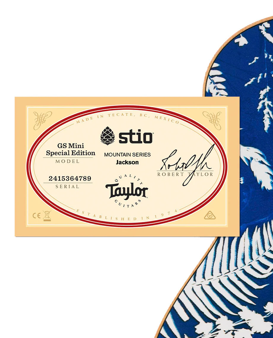 Stio x Taylor Mtn Series Jackson - Image 6