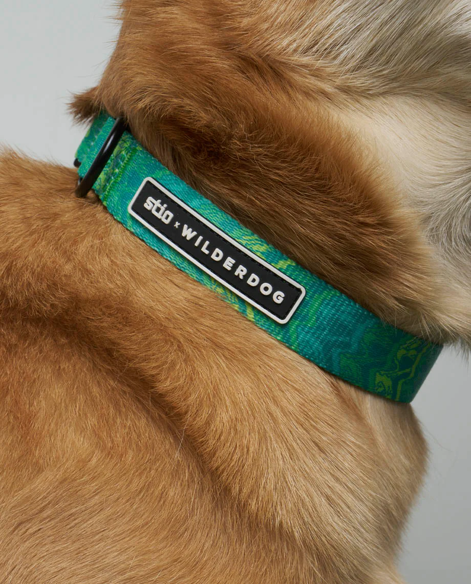 Stio x Wilderdog Ultralight Printed Collar - Image 4